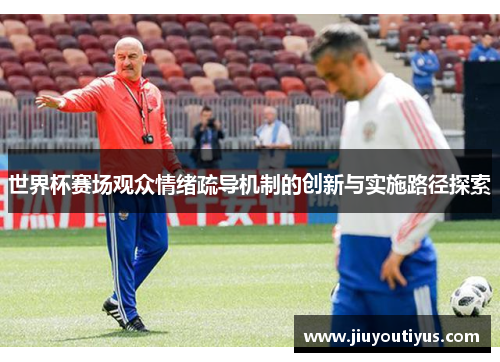 世界杯赛场观众情绪疏导机制的创新与实施路径探索