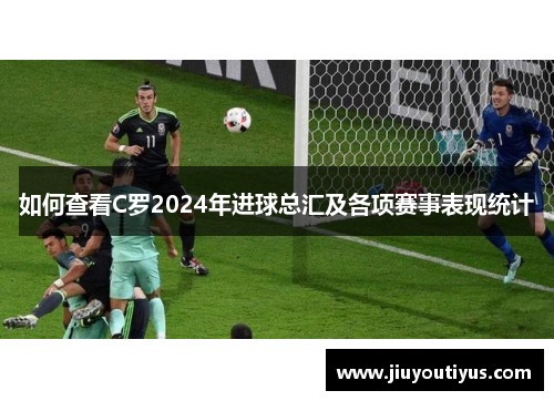 如何查看C罗2024年进球总汇及各项赛事表现统计