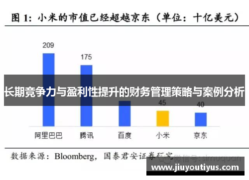 长期竞争力与盈利性提升的财务管理策略与案例分析