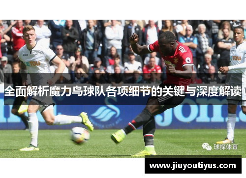 全面解析魔力鸟球队各项细节的关键与深度解读