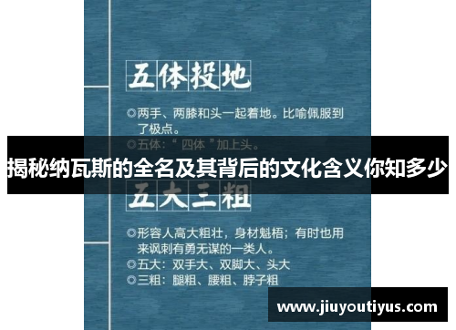 揭秘纳瓦斯的全名及其背后的文化含义你知多少
